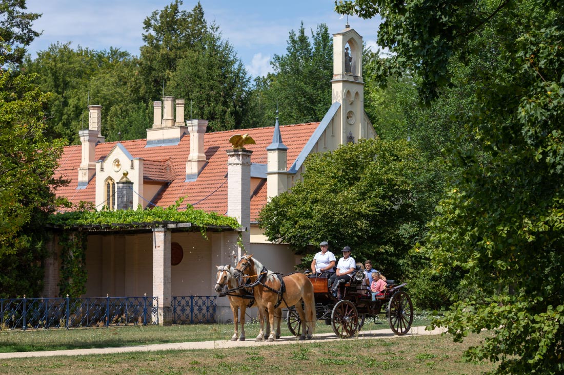 Kutschfahrt im Branitzer Park