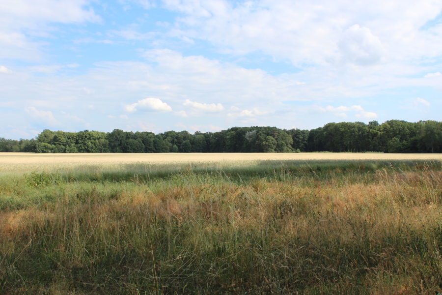 Blick in den Außenpark