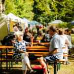 Mehrere Personen sitzen auf Bierbänken und trinken Wein beim Branitzer Weinfest.