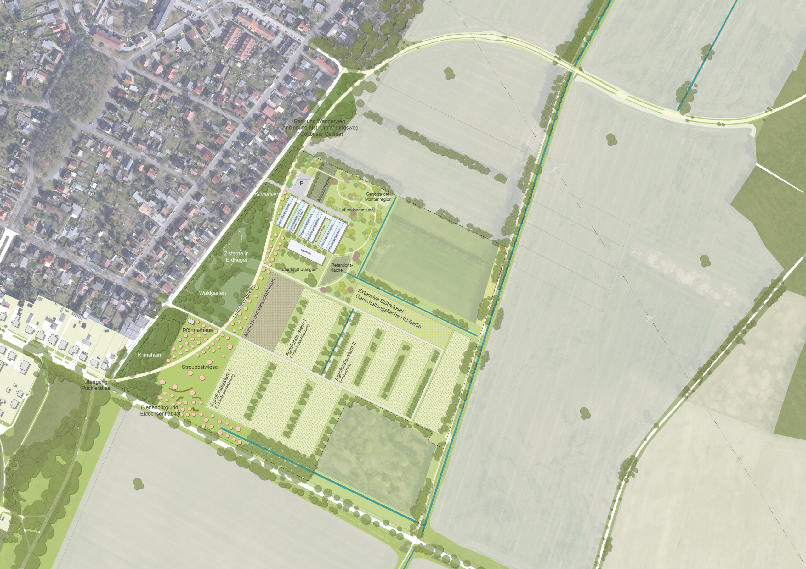 251008_A242_Branitz-Baumuniversität_Lageplan_M2000_Entwicklungskonz__Fugmann-Janotta_1jpg