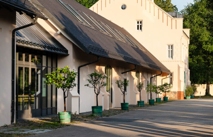 Sanierung Gutsökonomie Branitz