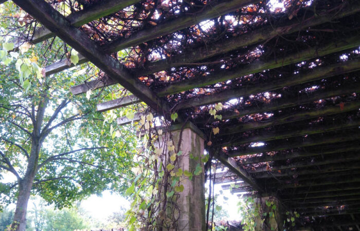 Pergola SFPM