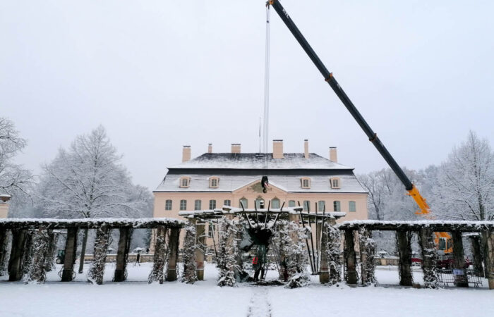 Pergola SFPM
