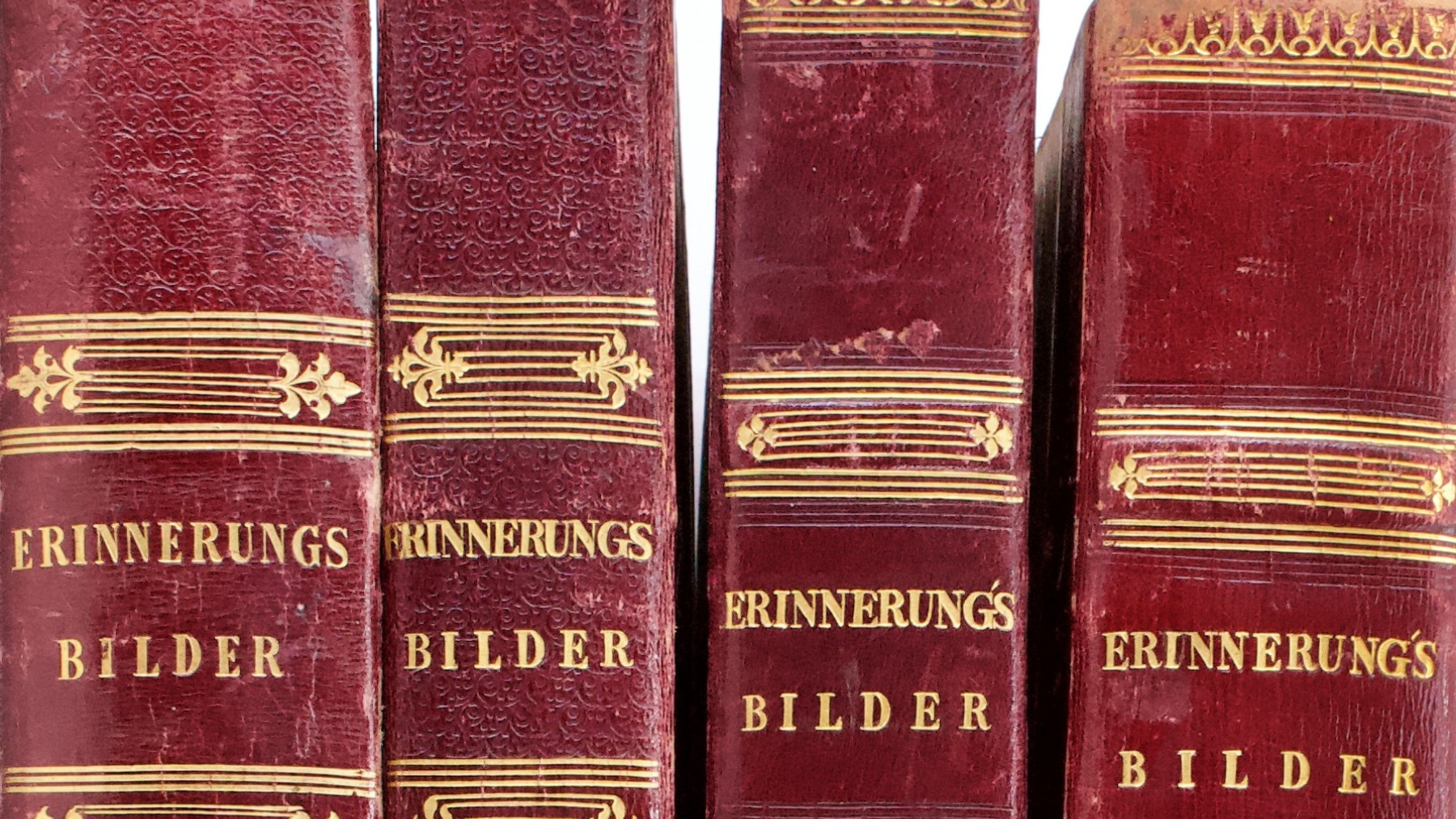 Auschnitt der Buchrücken der Erinnerungsalben von Fürst Pückler