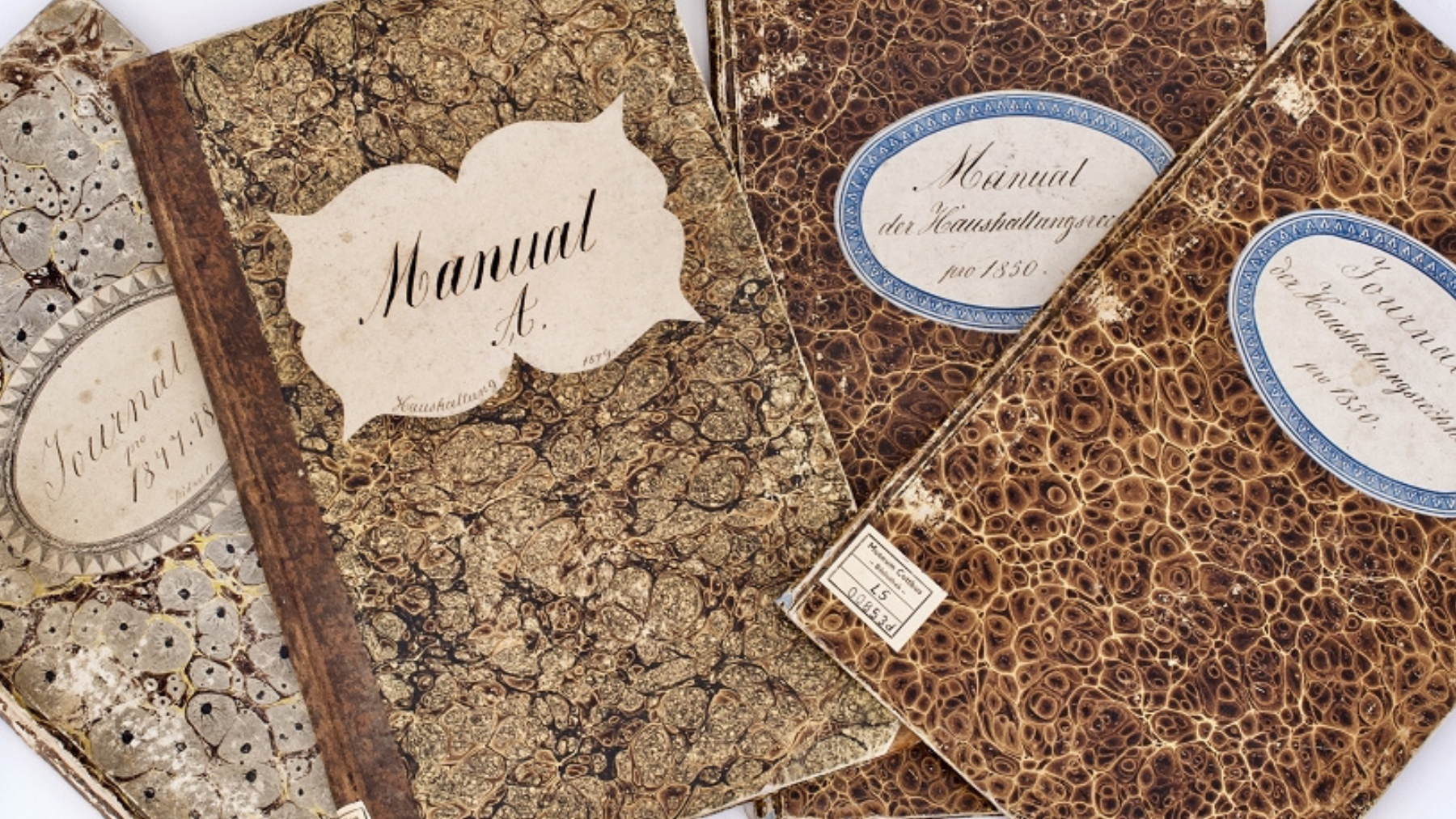 Manuale und Journale von Fürst Pückler