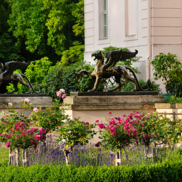 schlossterasse Schlossterasse SFPM