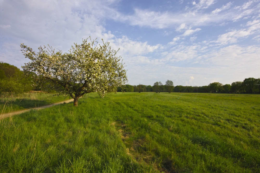 Blick in den Außenpark